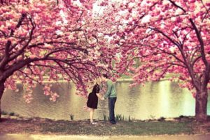 tree, Couple, Peoples, Water, Kiss, Love