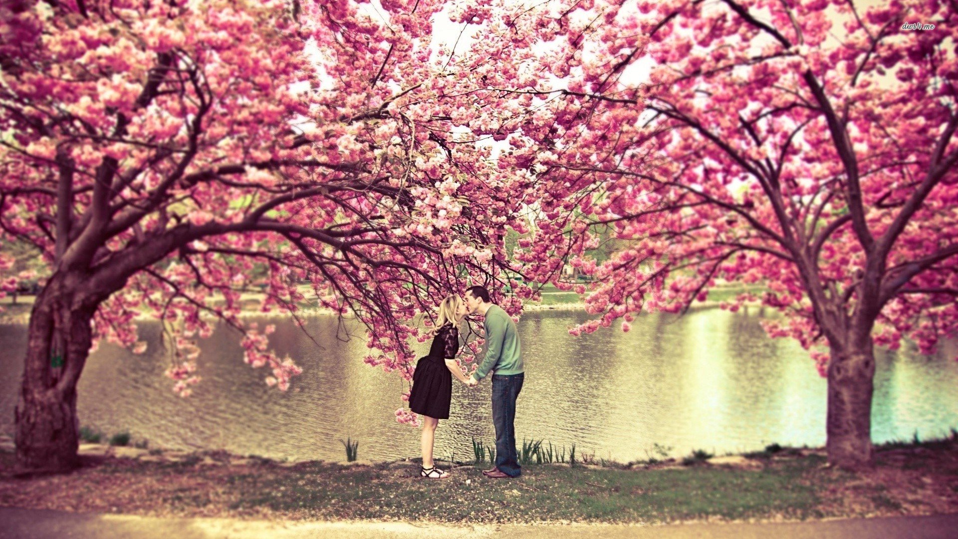 tree, Couple, Peoples, Water, Kiss, Love Wallpaper