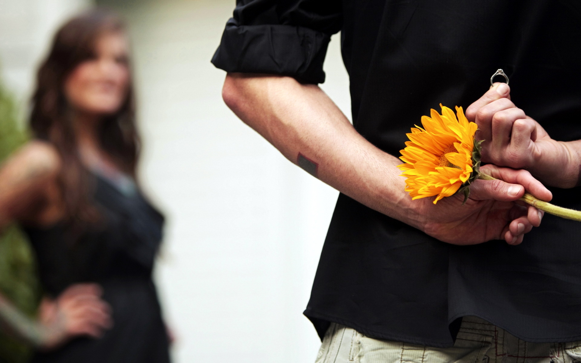 guy, Girl, Ring, Flower, Situation, Mood, Love Wallpaper