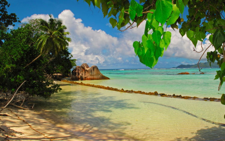 tropical, Coast, Sea, Seychelles, La, Digue, Leaves HD Wallpaper Desktop Background
