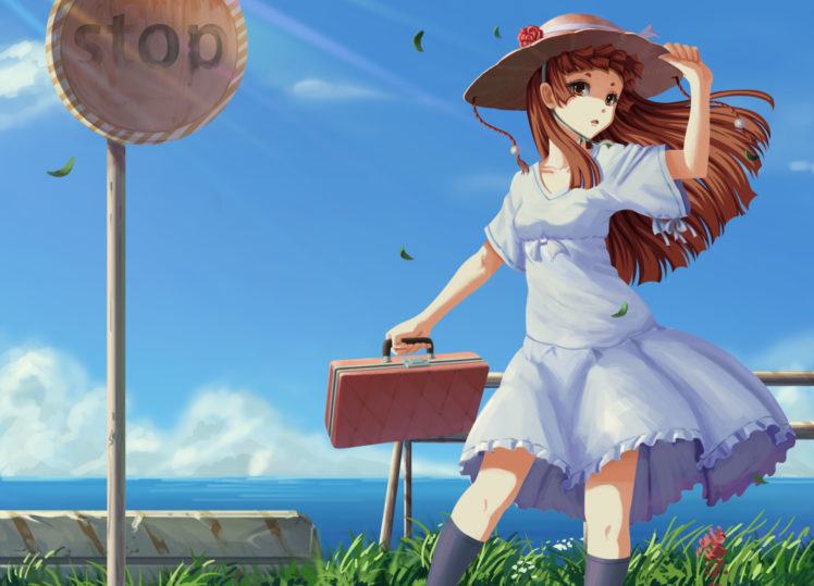 brown, Hair, Hat, Mushi, Mu, Kokoro, Summer, Dress HD Wallpaper Desktop Background