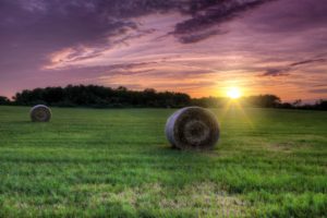 field, Grass, Hay, Sun, Sunset