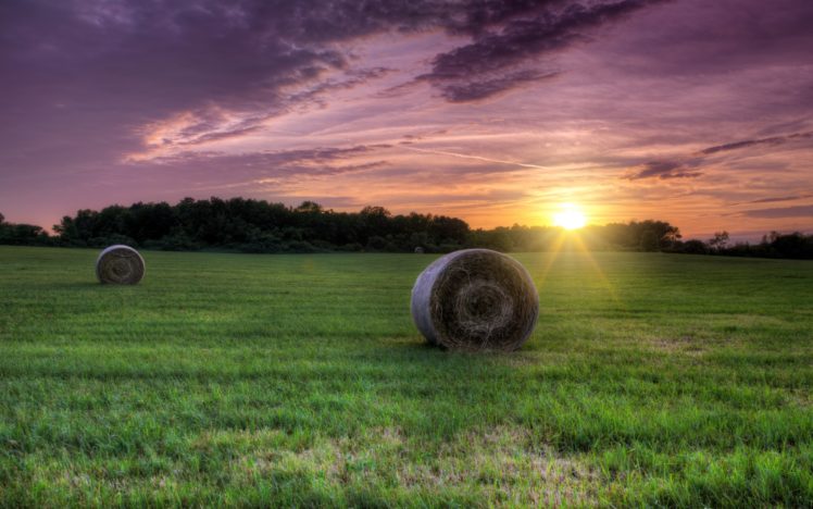 field, Grass, Hay, Sun, Sunset HD Wallpaper Desktop Background