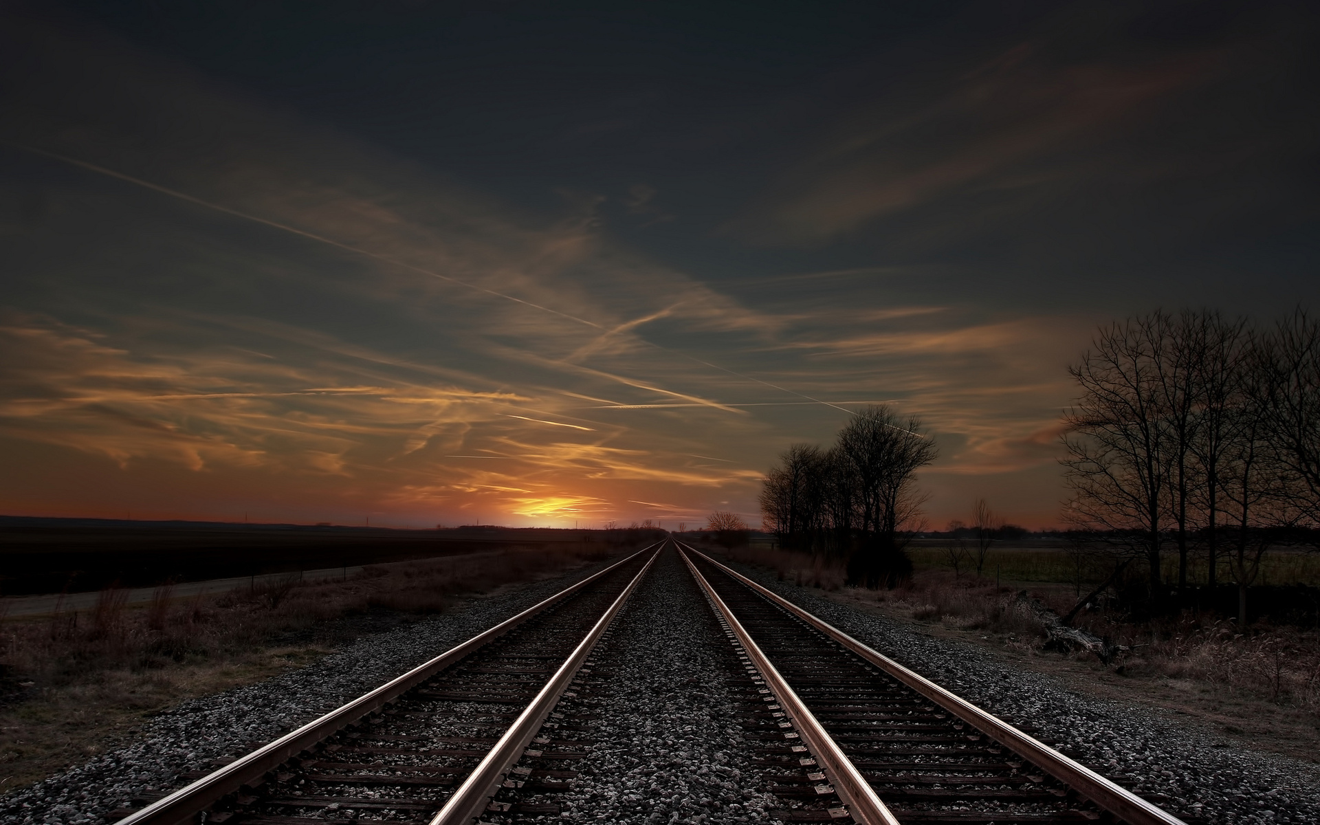 track, Field, Sunset, Evening, Trees, Railroad Wallpaper
