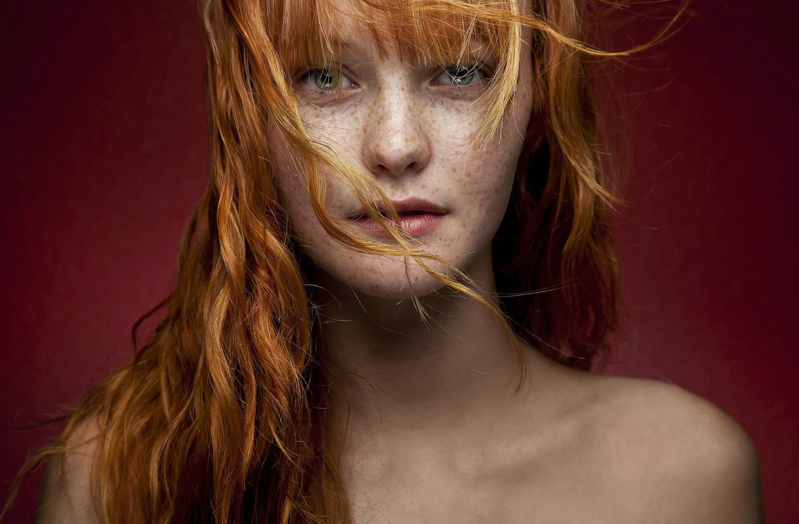 face,  , Girl, Women, Redhead, Freckles, Hair, Portrait, Beauty Wallpaper