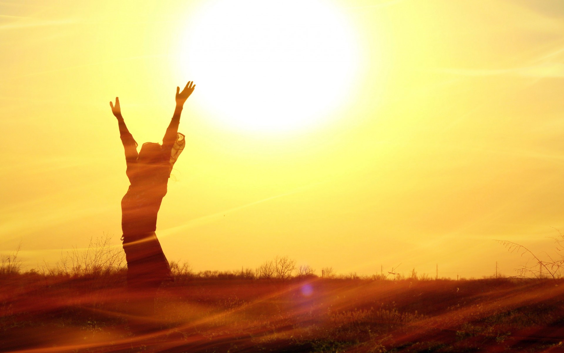 vegetation, Grass, Girl, Hand, Sky, Dawn, Sunset, Mood Wallpaper