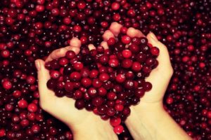 cranberry, Heart