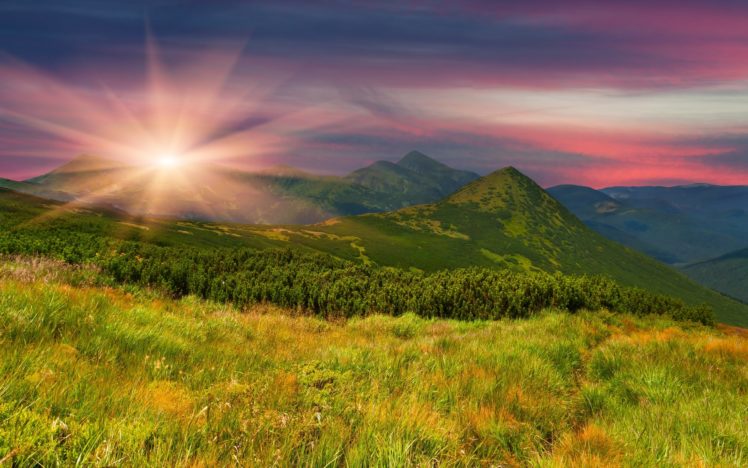 field, Mountains, Slope, Grass, Trees, Herbs, Evening, Sunset, Sun, Nature HD Wallpaper Desktop Background