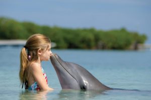 kiss,  , Funny, Baby, Child, Dolphin