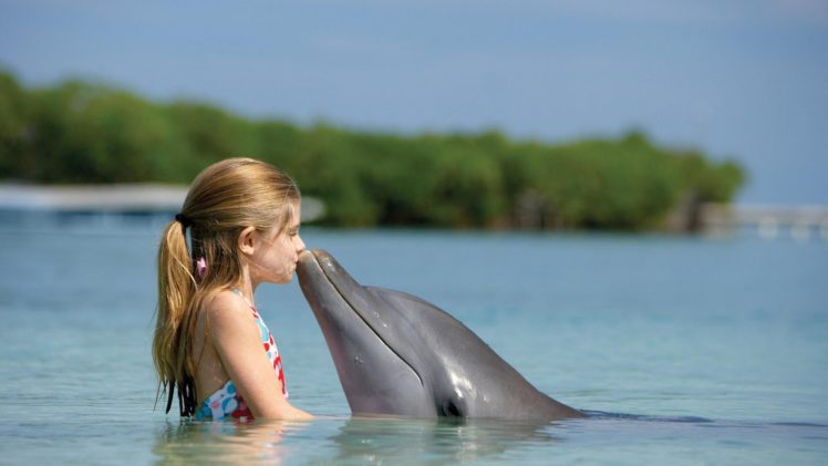 kiss, , Funny, Baby, Child, Dolphin Wallpapers HD / Desktop and Mobile  Backgrounds