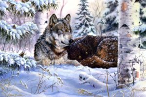 fantasy, Original, Art, Artistic, Artwork, Wolf, Wolves