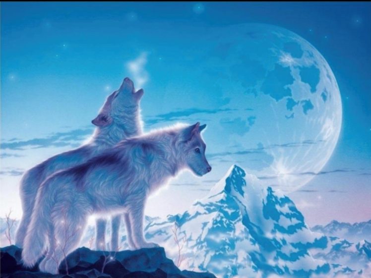 fantasy, Original, Art, Artistic, Artwork, Wolf, Wolves HD Wallpaper Desktop Background