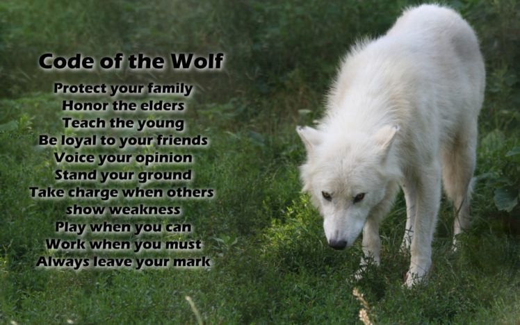 fantasy, Original, Art, Artistic, Artwork, Wolf, Wolves HD Wallpaper Desktop Background