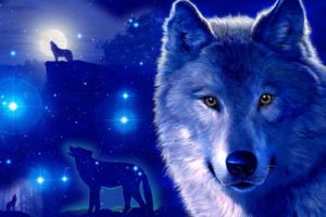 fantasy, Original, Art, Artistic, Artwork, Wolf, Wolves