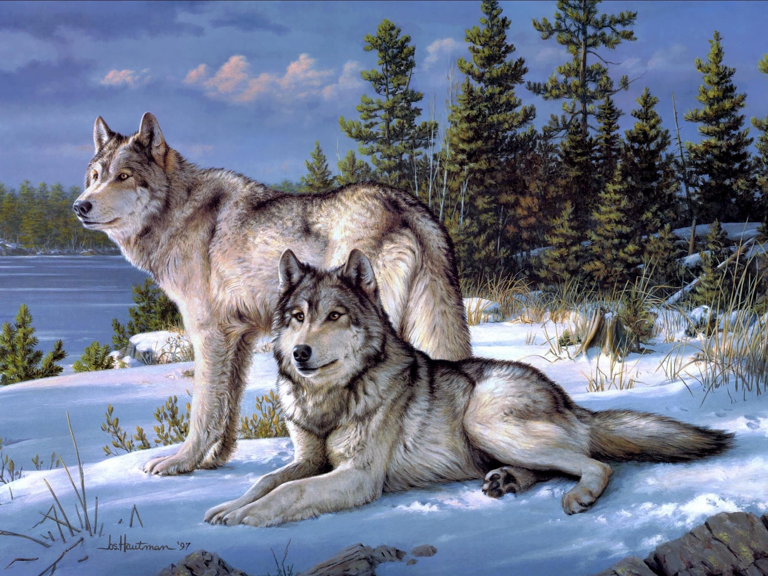 fantasy, Original, Art, Artistic, Artwork, Wolf, Wolves Wallpaper