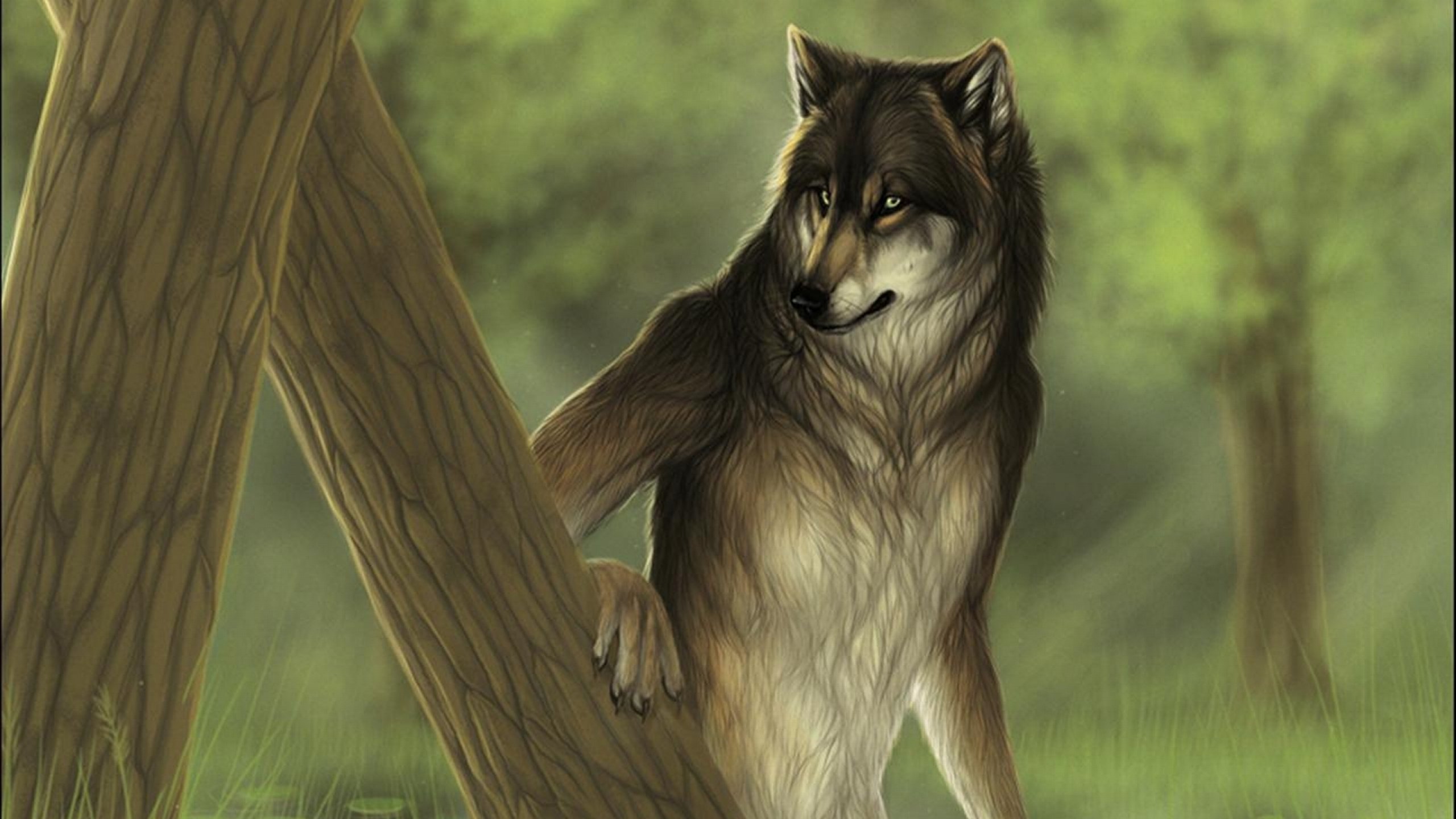 fantasy, Original, Art, Artistic, Artwork, Wolf, Wolves Wallpaper