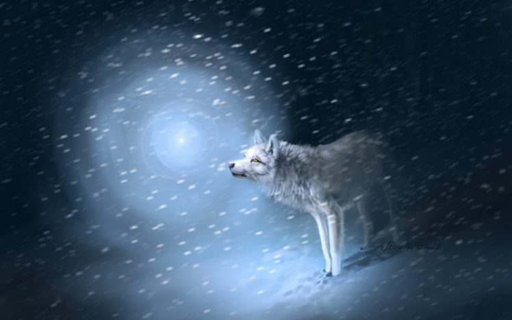 fantasy, Original, Art, Artistic, Artwork, Wolf, Wolves HD Wallpaper Desktop Background