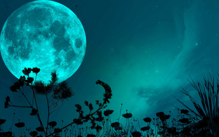night, Sky, Moon, Shadows, Grass, Blade, Stars HD Wallpaper Desktop Background