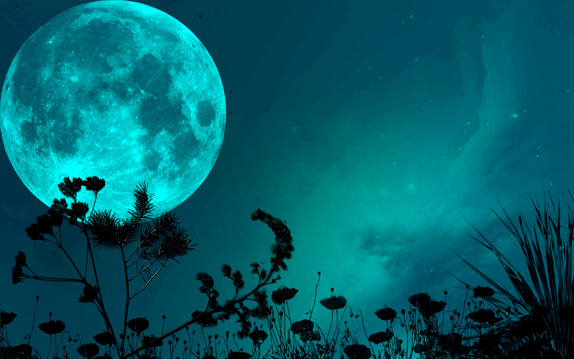 night, Sky, Moon, Shadows, Grass, Blade, Stars Wallpapers HD / Desktop and  Mobile Backgrounds