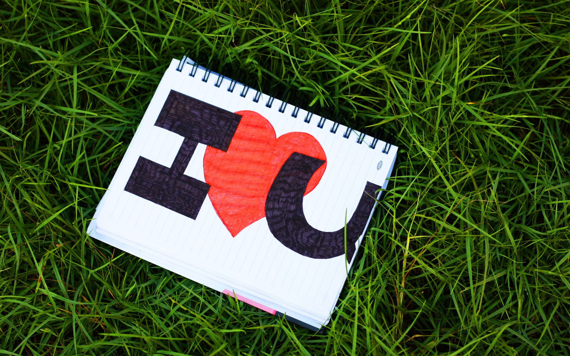 lettering, Love, Notebook, Heart, Text, Valentineand039s, Day, Grass Wallpaper