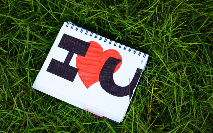lettering, Love, Notebook, Heart, Text, Valentineand039s, Day, Grass HD Wallpaper Desktop Background