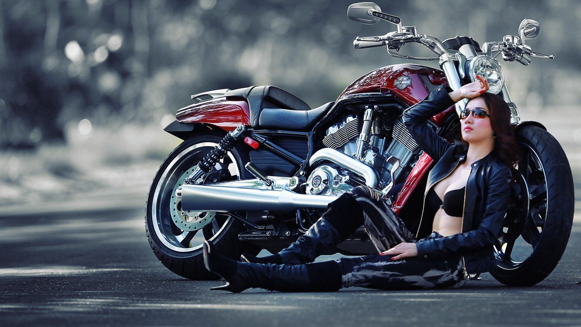 harley, Davidson, Motorbike, Bike, Motorcycle Wallpaper