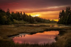 sunset, Lake, Forest, Landscape, Reflection