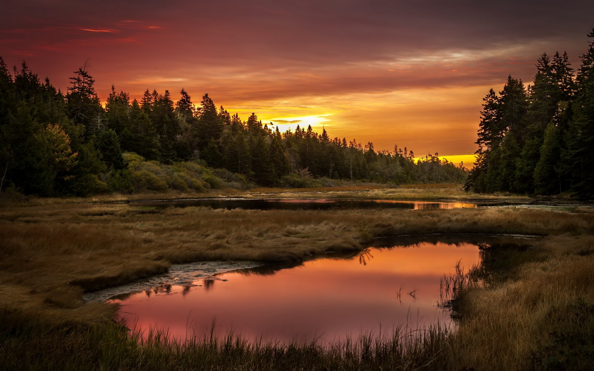sunset, Lake, Forest, Landscape, Reflection Wallpaper