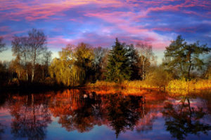 sunset, Lake, Trees, Landscape, Reflection