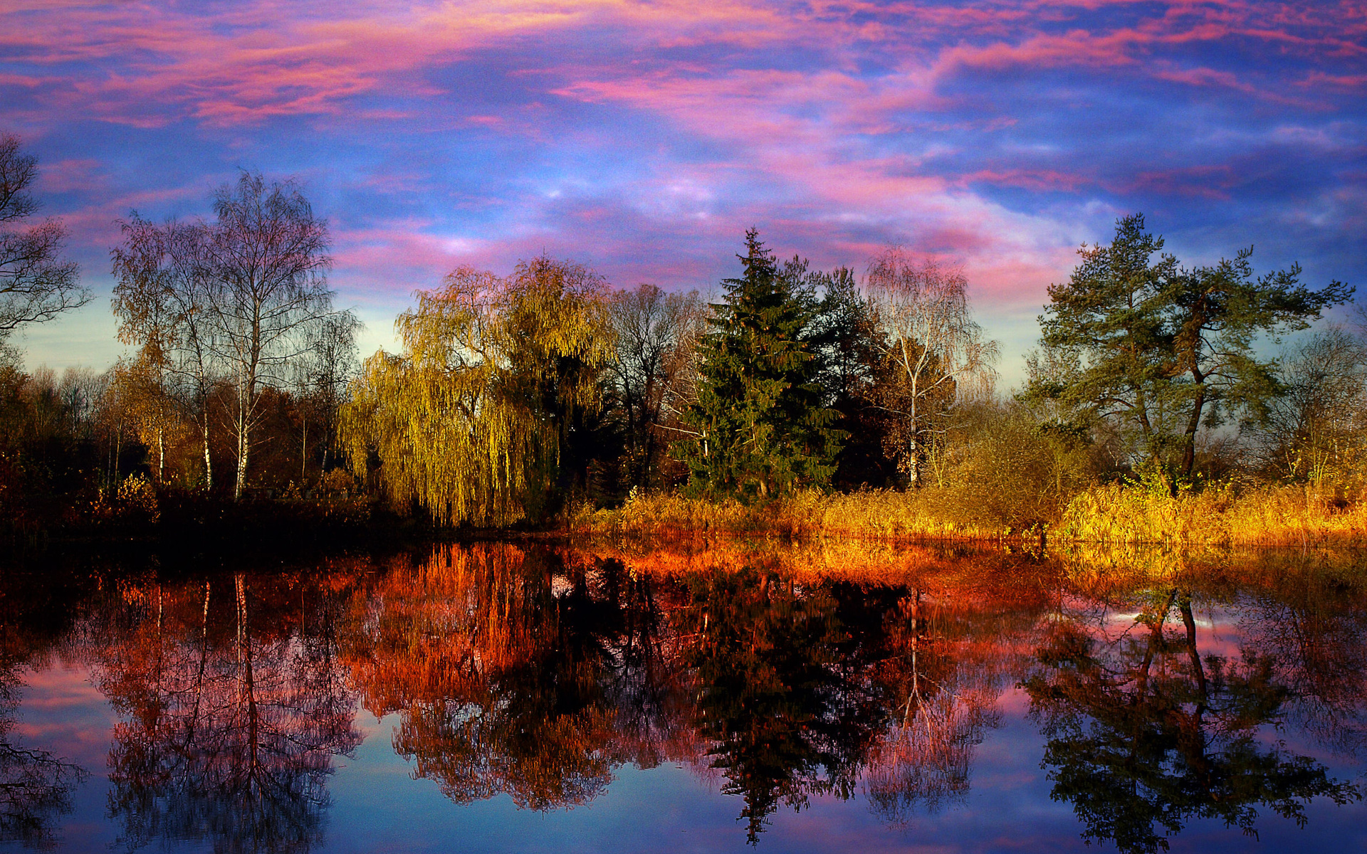 sunset, Lake, Trees, Landscape, Reflection Wallpaper