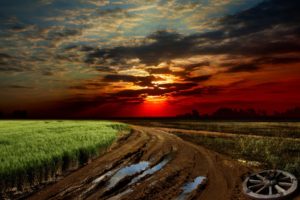 sunset, Road, Field, Wheel, Landscape