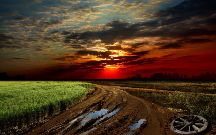sunset, Road, Field, Wheel, Landscape HD Wallpaper Desktop Background
