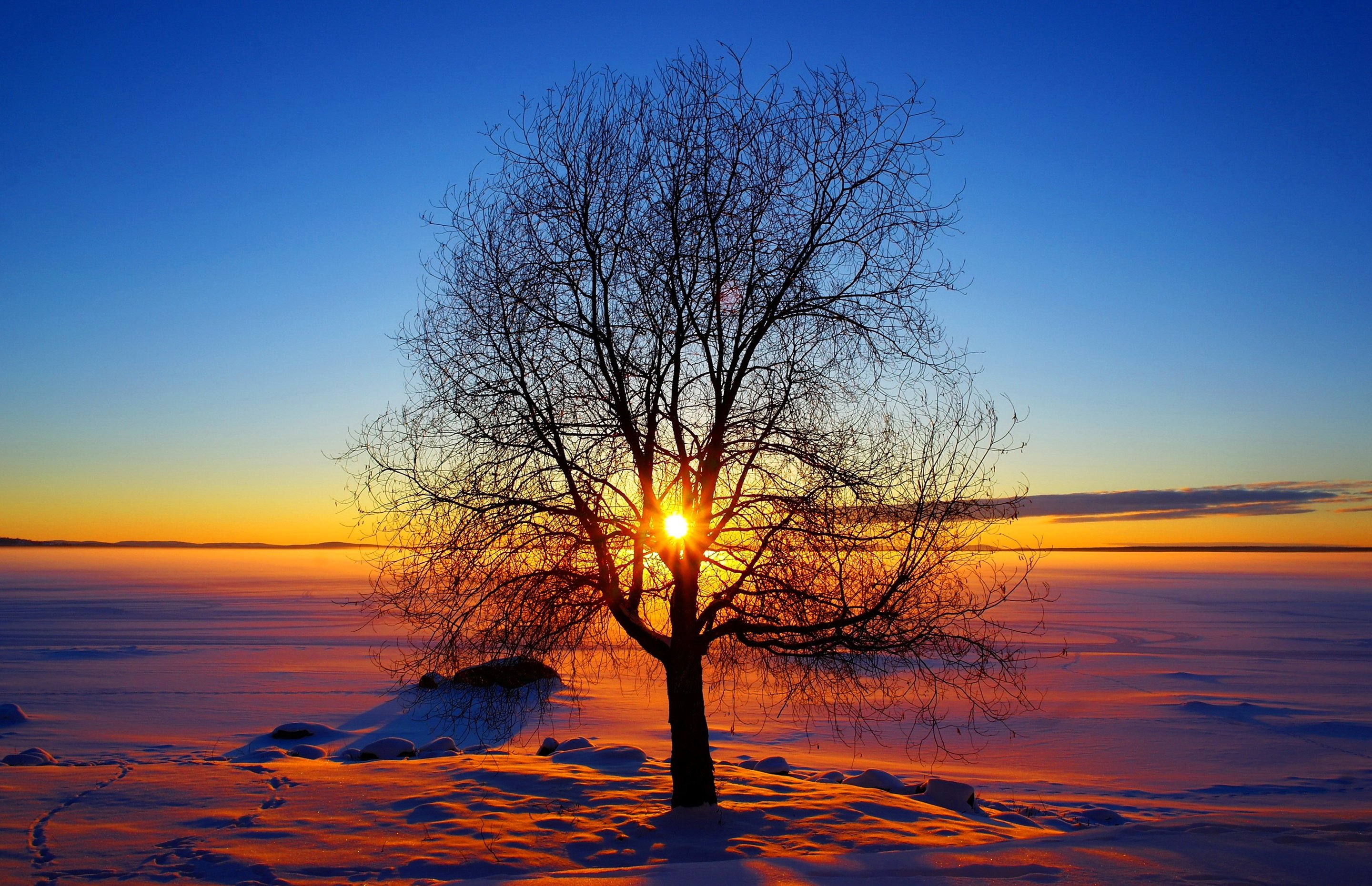 nature, Sky, Sun, Winter, Sunset, Tree, Snow Wallpaper
