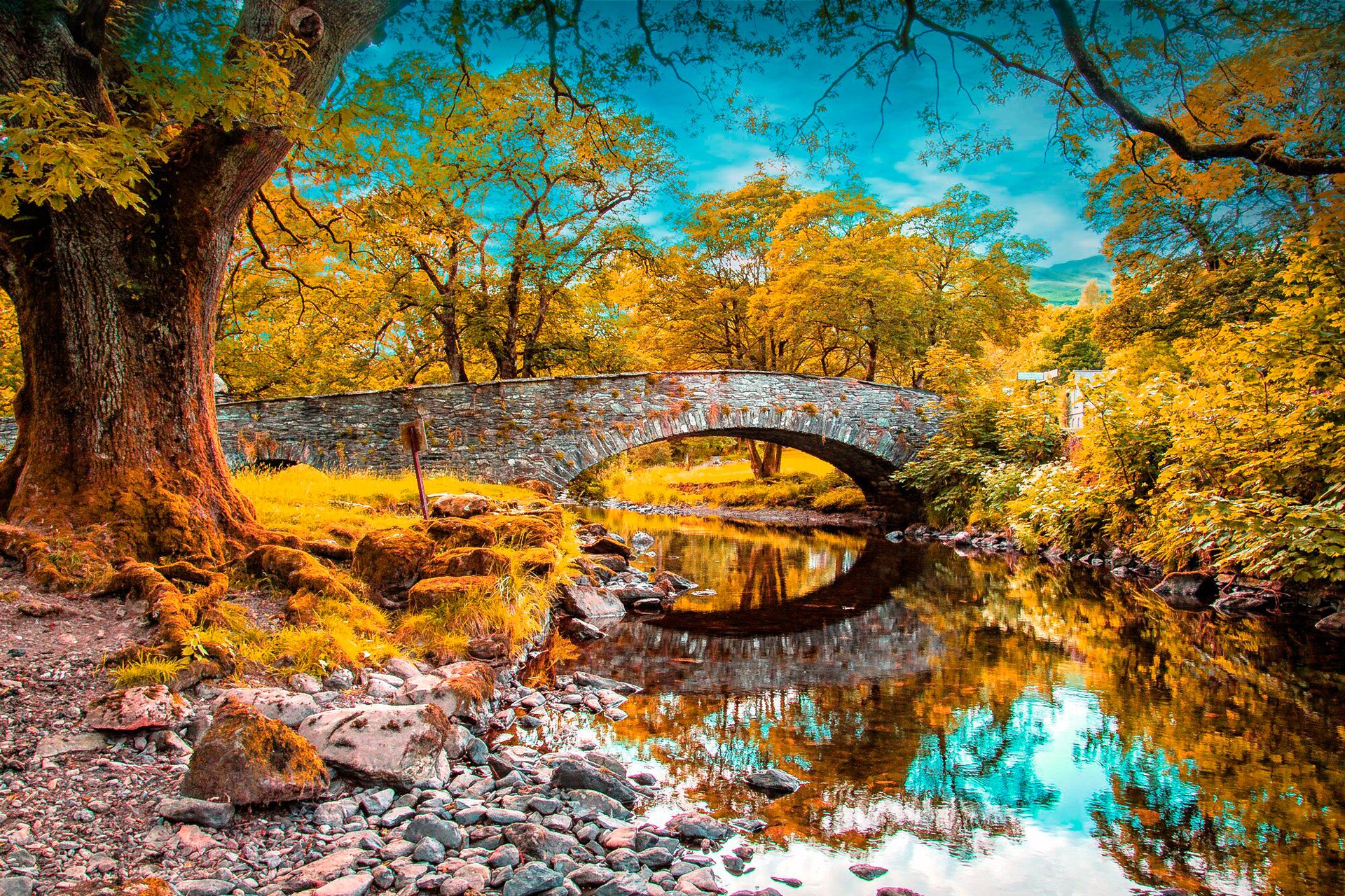 sky, Clouds, Forest, Park, River, Trees, Bridge, Arch, Autumn, Reflection Wallpaper