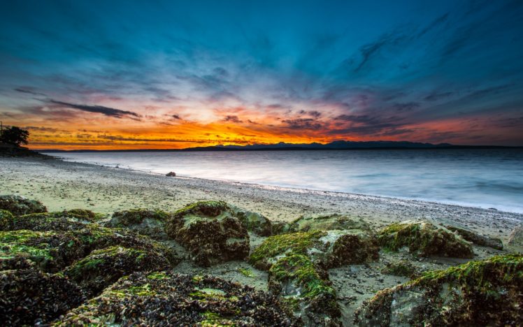 usa, Washington, Seattle, Beach, Shore, Stones, Moss, Sea, Bay, Evening, Sunset, Sky, Clouds HD Wallpaper Desktop Background