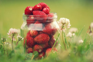 strawberries, In, A, Jar