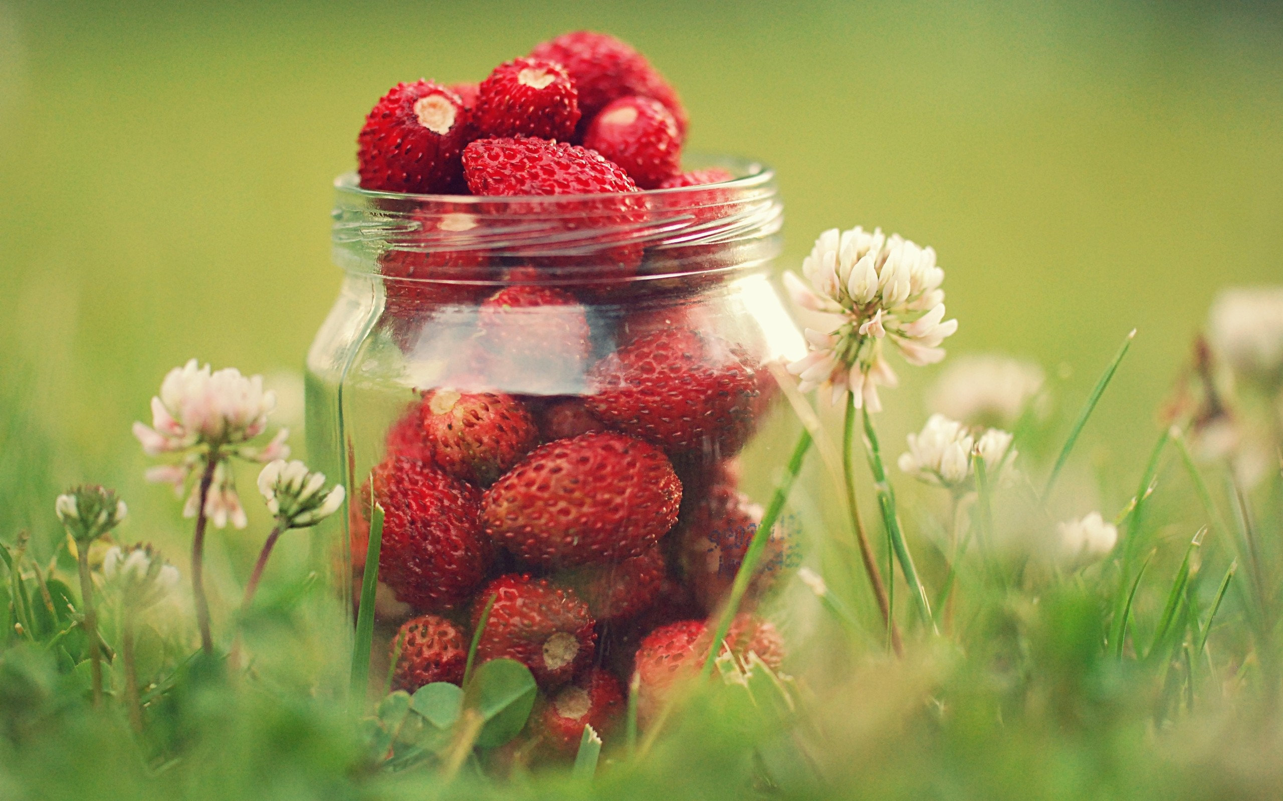 strawberries, In, A, Jar Wallpaper