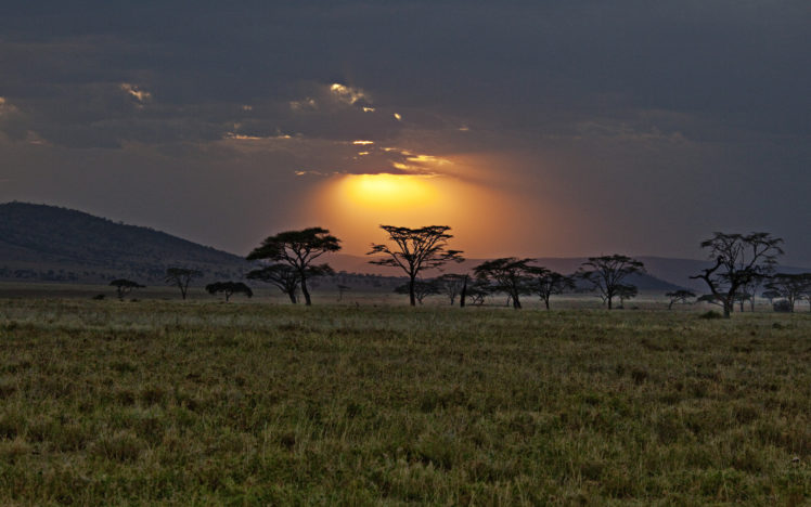 sunset, Africa, Savanna, Landscapes, Sky, Beams, Rays, Trees HD Wallpaper Desktop Background