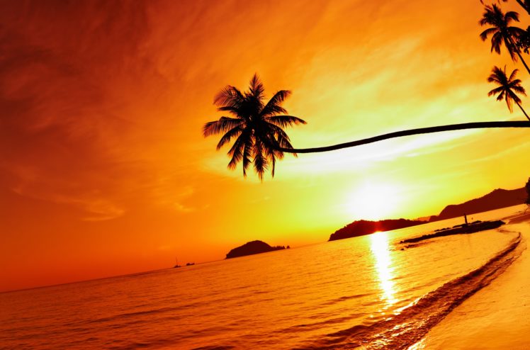 thailand, Beach, Sea, Sunset, Sky, Palm, Tree HD Wallpaper Desktop Background
