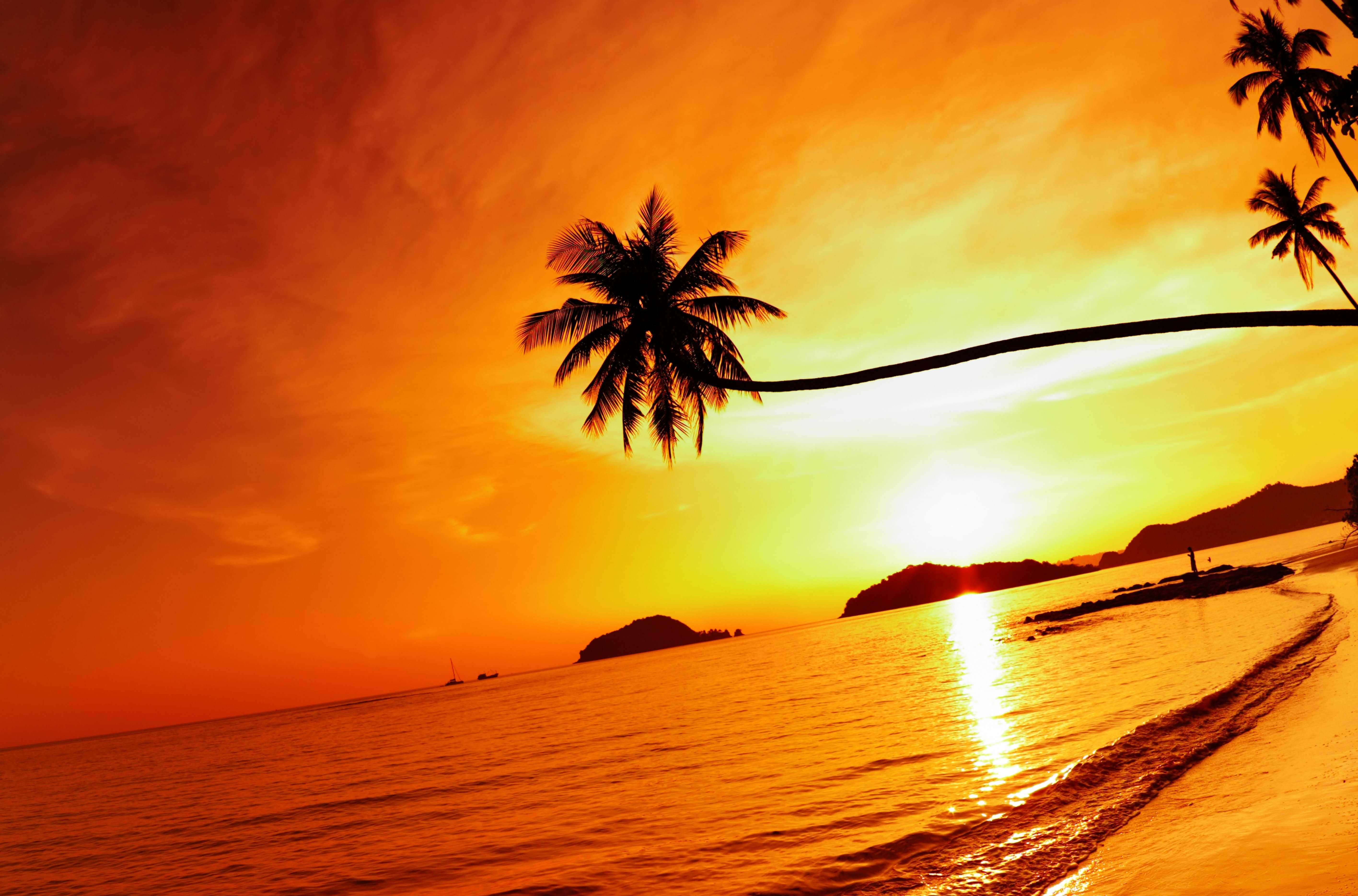 thailand, Beach, Sea, Sunset, Sky, Palm, Tree Wallpaper