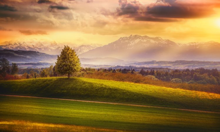 tree, Glow, Sunset, Alps, Mountain, Mountain, Ridge, Mountain, Evening, Landscape, Alps, Cloud, Switzerland HD Wallpaper Desktop Background