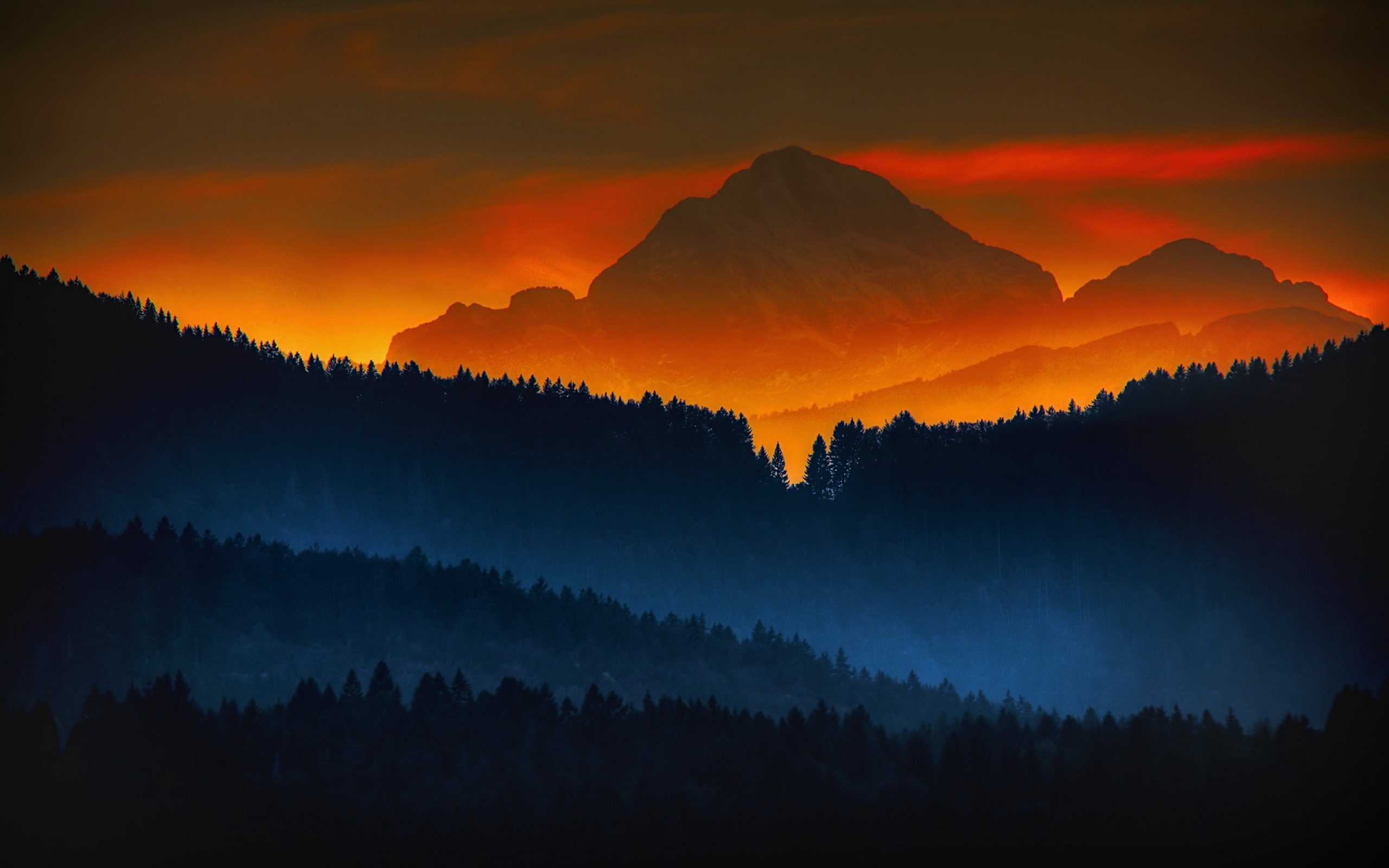 forest, Sunset, Mountains, Color, Sunrise, Landscape, Nature Wallpaper