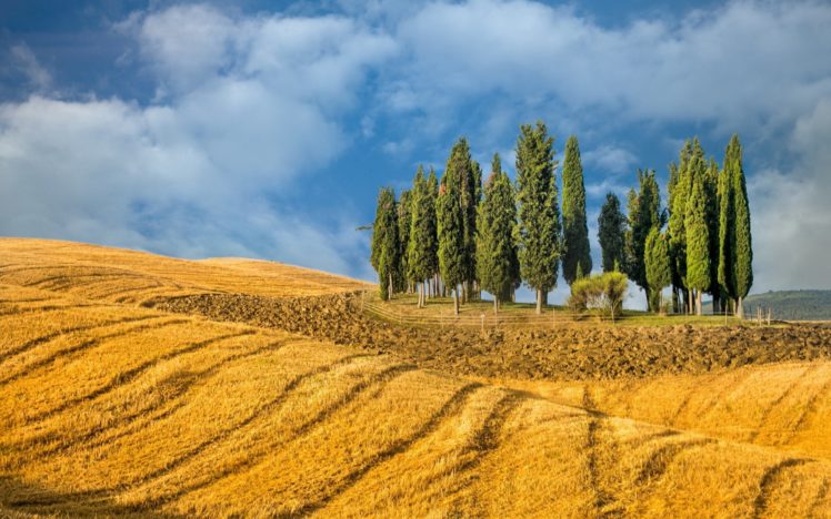 landscape, Nature, Tree, Farm, Field HD Wallpaper Desktop Background