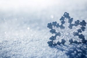 nature, Snow, Winter, Snowflake, Christmas, Bokeh