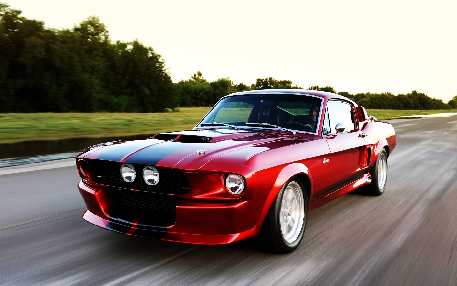 2011, Shelby, Gt500cr, Speed Wallpaper