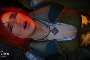 witcher, 3, Wild, Hunt, Fantasy, Action, Rpg, Fighting, Warrior, Dark, Three, 1w3wh