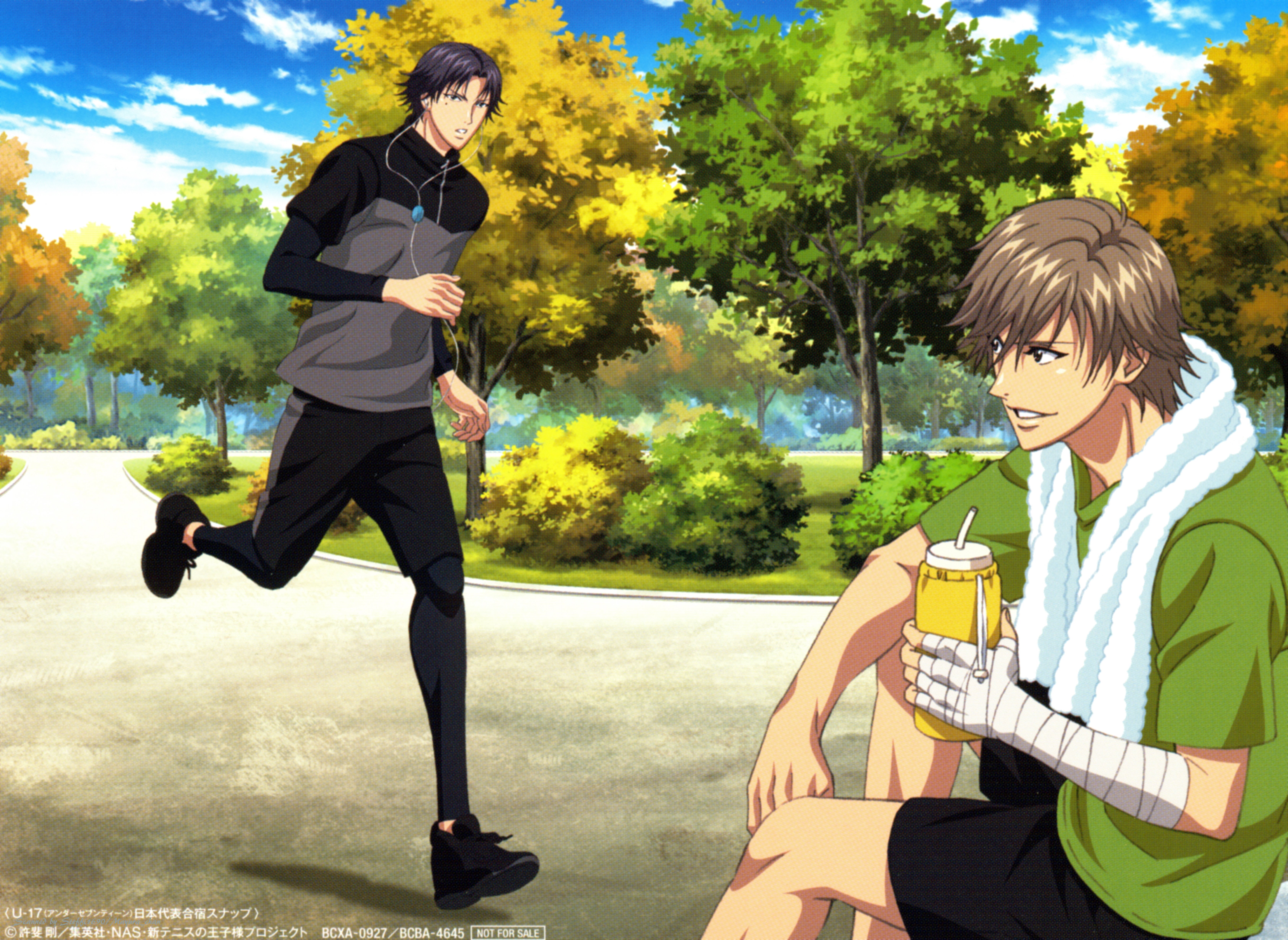  anime  Sports  Boys  Group Prince Of Tennis Series 