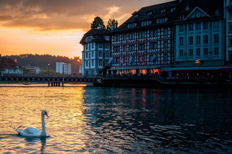 lucerne, Switzerland, Swan, Building, Evening HD Wallpaper Desktop Background