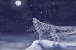 fantasy, Artwork, Art, Wolf, Wolves