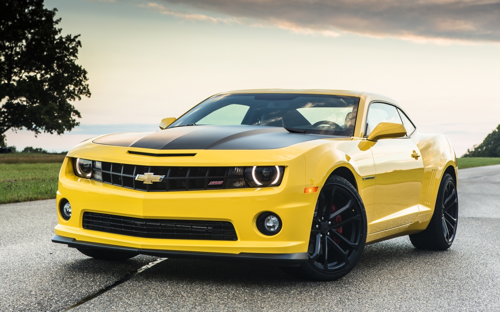 chevrolet, Camaro, Yellow, Front, Muscle, Car, Muscle, Car, Road, Tree, Sky Wallpaper